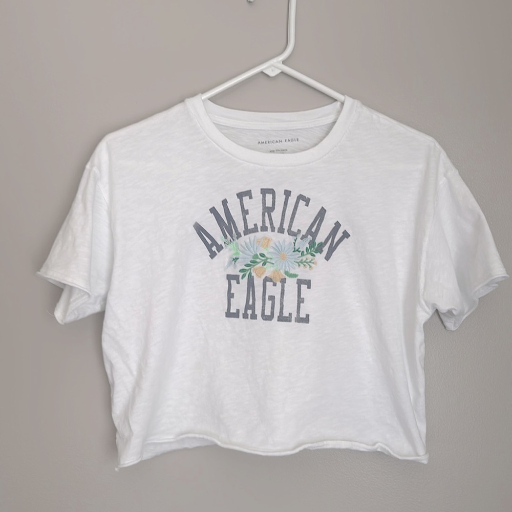 AE oversized embroidered crop tee